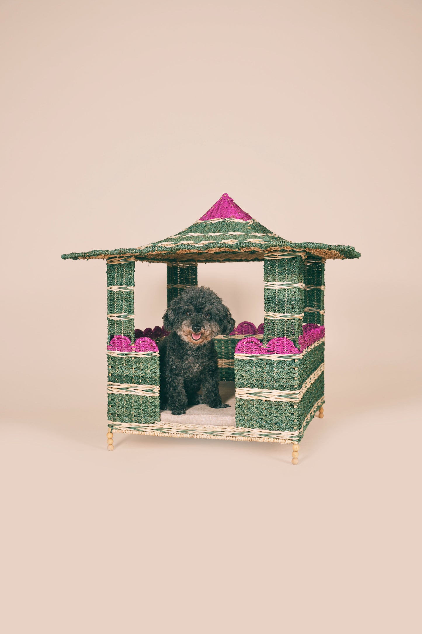 Abaca Pet Hut (Reserved for Alfie)