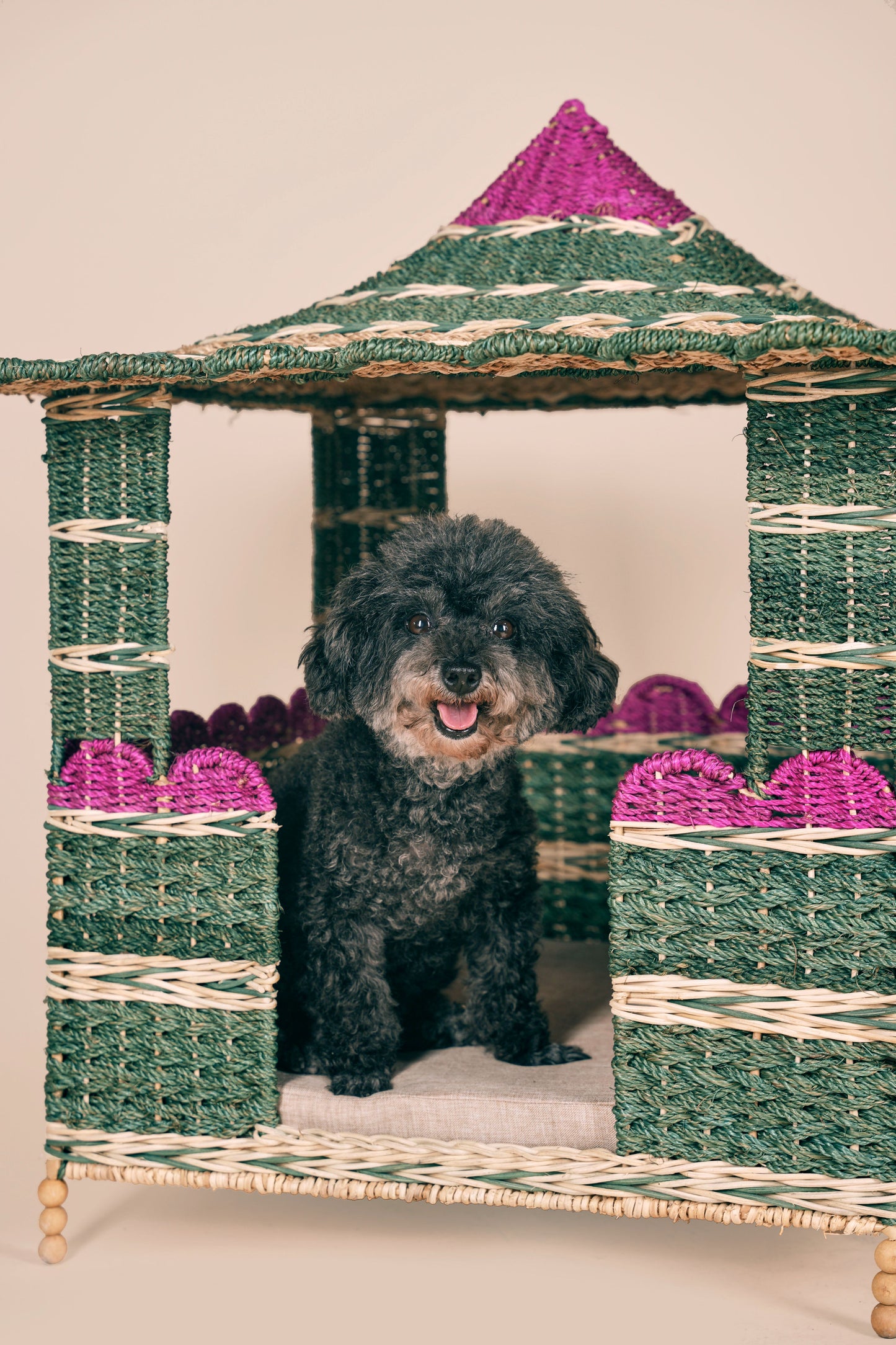 Abaca Pet Hut (Reserved for Alfie)